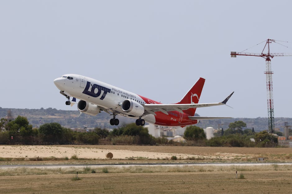 Lot Polish Airlines 2026 – plany rozwoju narodowego przewoźnika
